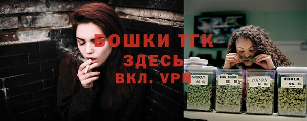 ГАЛЛЮЦИНОГЕННЫЕ ГРИБЫ Алзамай